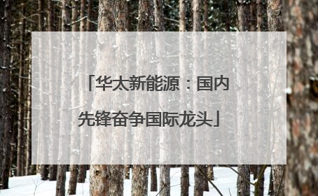 华太新能源：国内先锋奋争国际龙头