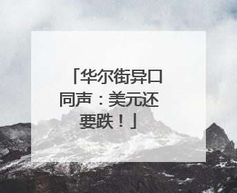 华尔街异口同声：美元还要跌！