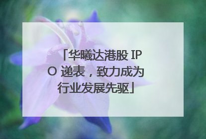 华曦达港股 IPO 递表，致力成为行业发展先驱
