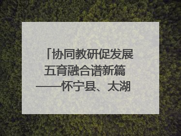 协同教研促发展 五育融合谱新篇——怀宁县、太湖县联合教研活动在月山镇中心学校成功举办