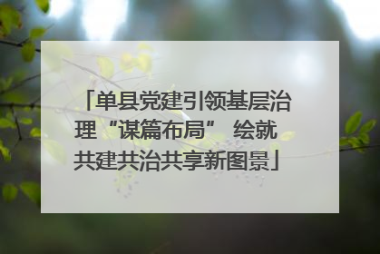 单县党建引领基层治理“谋篇布局” 绘就共建共治共享新图景