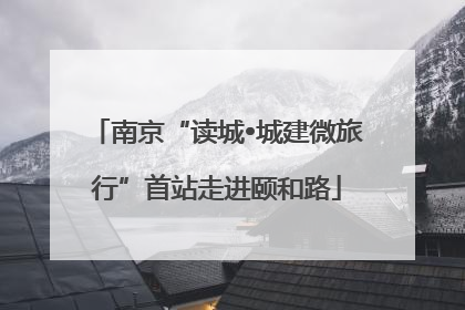 南京“读城•城建微旅行”首站走进颐和路