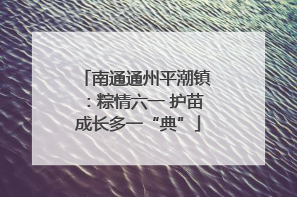 南通通州平潮镇：粽情六一 护苗成长多一“典”