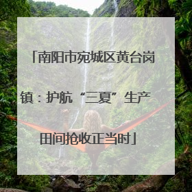 南阳市宛城区黄台岗镇：护航“三夏”生产 田间抢收正当时