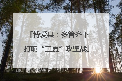 博爱县：多管齐下 打响“三夏”攻坚战