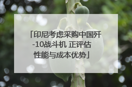 印尼考虑采购中国歼-10战斗机 正评估性能与成本优势