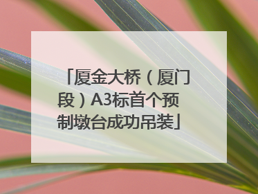 厦金大桥（厦门段）A3标首个预制墩台成功吊装