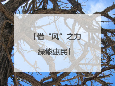 借“风”之力 绿能惠民
