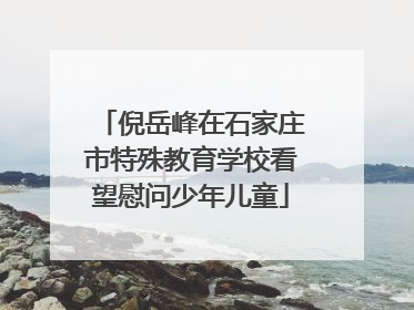 倪岳峰在石家庄市特殊教育学校看望慰问少年儿童