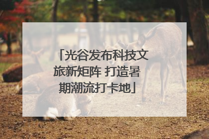 光谷发布科技文旅新矩阵 打造暑期潮流打卡地
