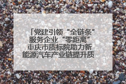 党建引领“全链条” 服务企业“零距离” 重庆市质标院助力新能源汽车产业链提升质量管理水平
