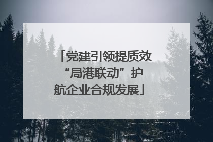 党建引领提质效 “局港联动”护航企业合规发展