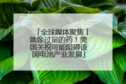 全球媒体聚焦丨就像过量的药！美国关税可能阻碍该国电池产业发展