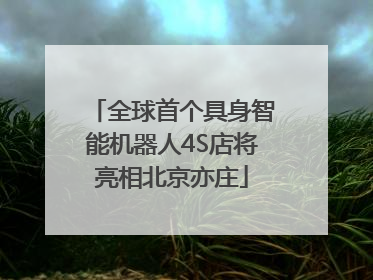 全球首个具身智能机器人4S店将亮相北京亦庄