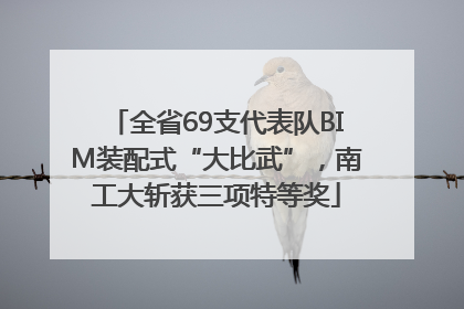 全省69支代表队BIM装配式“大比武”，南工大斩获三项特等奖