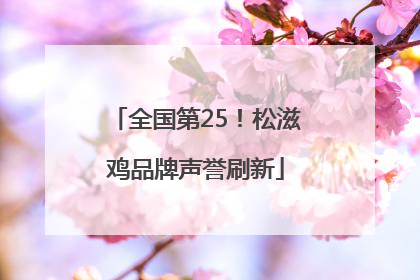 全国第25！松滋鸡品牌声誉刷新