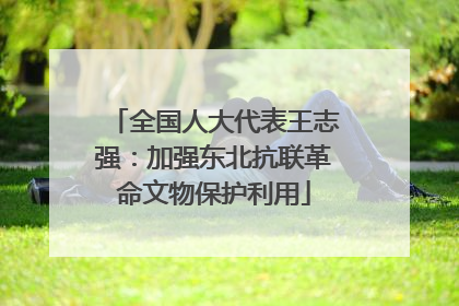 全国人大代表王志强：加强东北抗联革命文物保护利用
