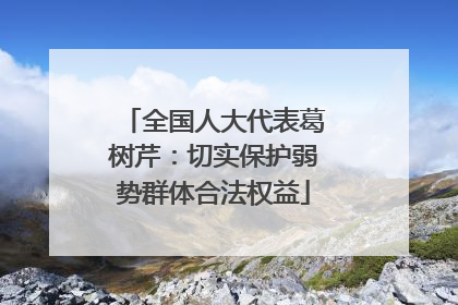 全国人大代表葛树芹：切实保护弱势群体合法权益