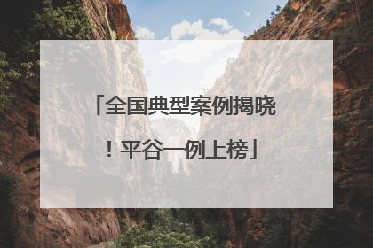 全国典型案例揭晓！平谷一例上榜