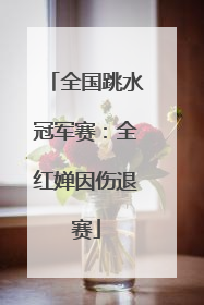 全国跳水冠军赛：全红婵因伤退赛