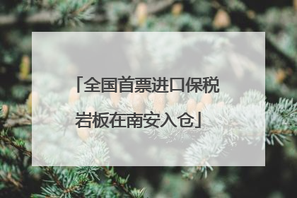 全国首票进口保税岩板在南安入仓