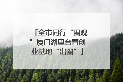 全市同行“围观”厦门湖里台青创业基地“出圈”