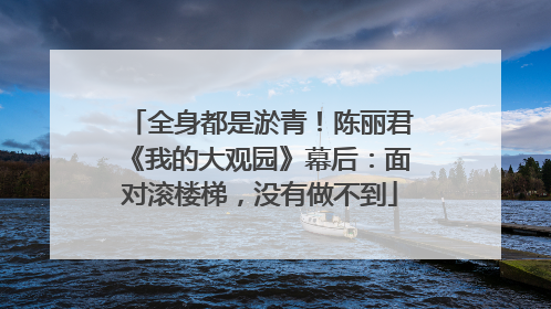 全身都是淤青！陈丽君《我的大观园》幕后：面对滚楼梯，没有做不到