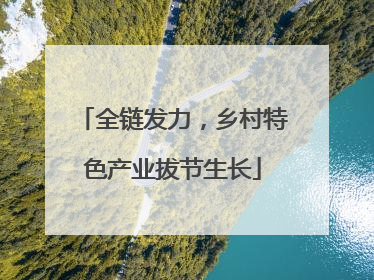 全链发力，乡村特色产业拔节生长