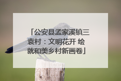 公安县孟家溪镇三袁村：文明花开 绘就和美乡村新画卷