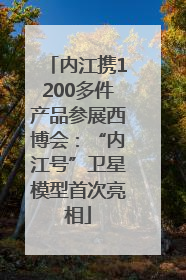 内江携1200多件产品参展西博会：“内江号”卫星模型首次亮相