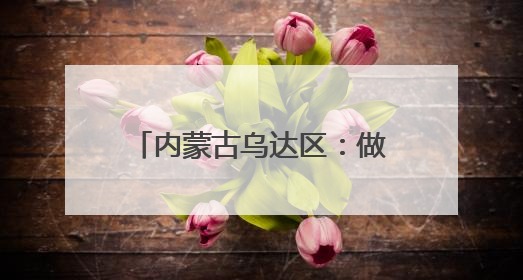 内蒙古乌达区：做好“土特产”文章 写好乡村振兴答卷