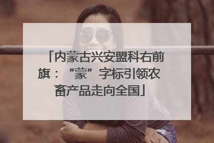 内蒙古兴安盟科右前旗：“蒙”字标引领农畜产品走向全国