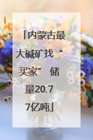 内蒙古最大碱矿找“买家” 储量20.77亿吨
