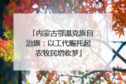 内蒙古鄂温克族自治旗：以工代赈托起农牧民增收梦