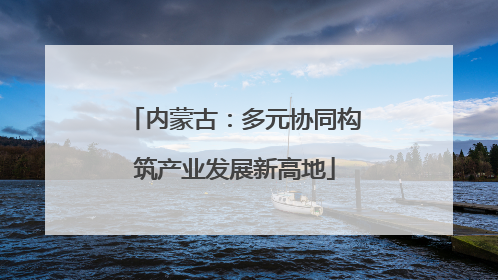 内蒙古：多元协同构筑产业发展新高地