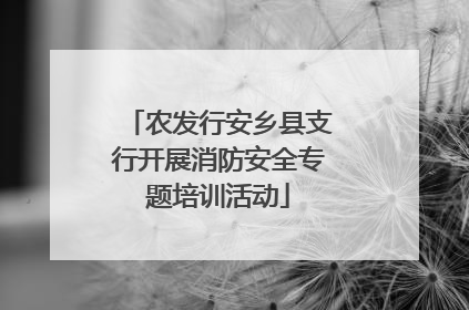 农发行安乡县支行开展消防安全专题培训活动