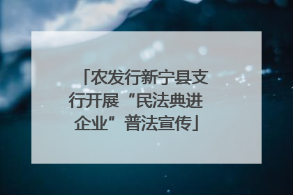 农发行新宁县支行开展“民法典进企业”普法宣传