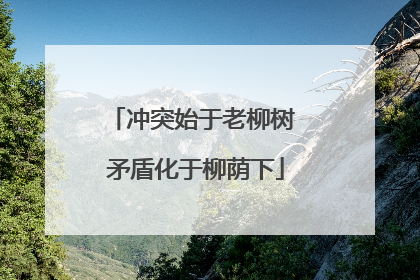 冲突始于老柳树 矛盾化于柳荫下