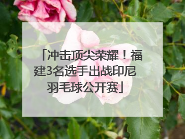 冲击顶尖荣耀！福建3名选手出战印尼羽毛球公开赛