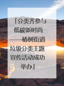 分类齐参与 低碳新时尚——椿树街道垃圾分类主题宣传活动成功举办