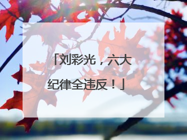 刘彩光，六大纪律全违反！