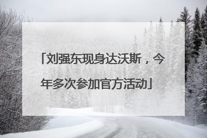 刘强东现身达沃斯，今年多次参加官方活动