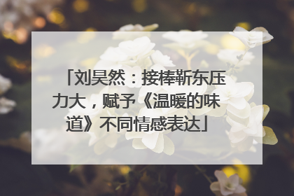 刘昊然：接棒靳东压力大，赋予《温暖的味道》不同情感表达