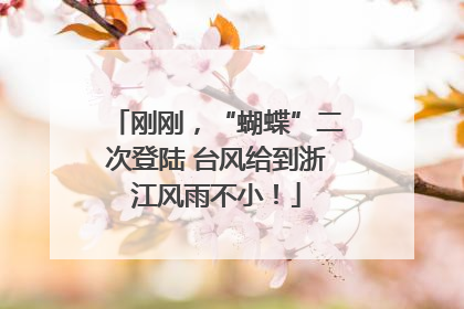 刚刚，“蝴蝶”二次登陆 台风给到浙江风雨不小！
