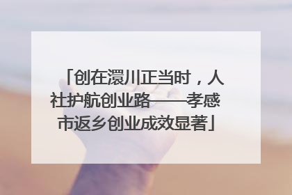 创在澴川正当时，人社护航创业路——孝感市返乡创业成效显著