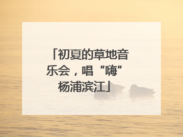 初夏的草地音乐会，唱“嗨”杨浦滨江