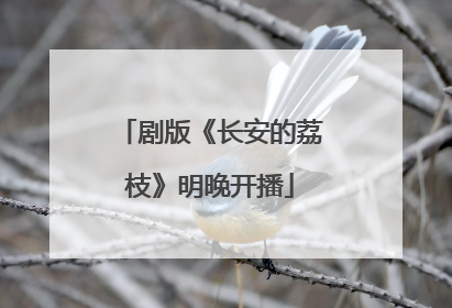 剧版《长安的荔枝》明晚开播