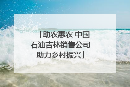 助农惠农 中国石油吉林销售公司助力乡村振兴