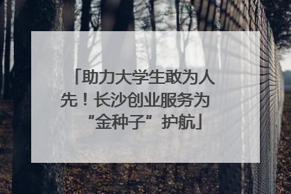 助力大学生敢为人先！长沙创业服务为“金种子”护航