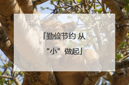 勤俭节约 从“小”做起